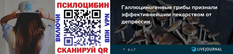 Псилоцибиновые грибы мицелий  купить наркотик  Щёлково 